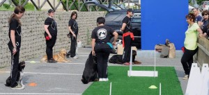 addestramento-cani-torino2