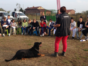 addestramento percanisicuri