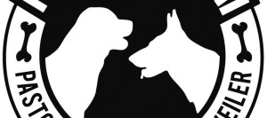 cropped-header.jpg