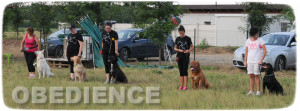obedience
