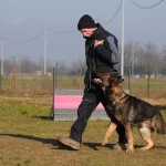 DSC_8856-small