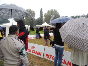 SCARICO 15.09.13 040