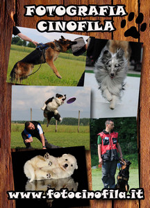 foto cinofila